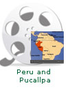 Peru and Pucallpa | Jen's Jungle Ministry in Peru, South America