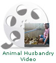 Animal Husbandry | Jen's Jungle Ministry